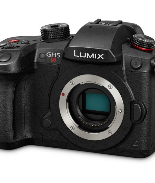 Panasonic Lumix DC-GH5S Mirrorless Micro Four Thirds Digital Camera